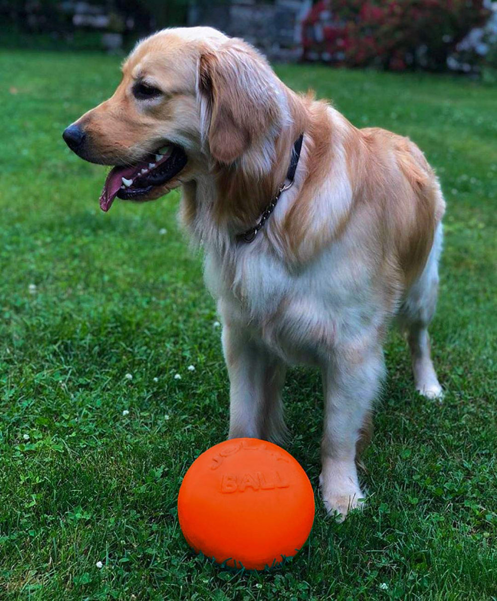Bola Jolly Pets Bounce-n-Play sin asa, perfecta para patear y recuperar.