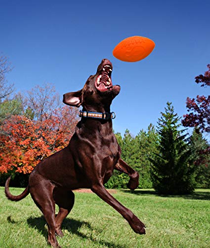 Jolly Pets diseño suave y resistente, adecuado para mordidas y juego activo.