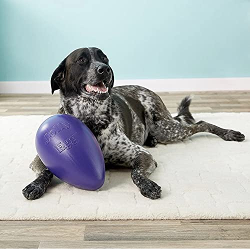 Jolly Pets Jolly Egg, color morado para mejor visibilidad durante el juego.