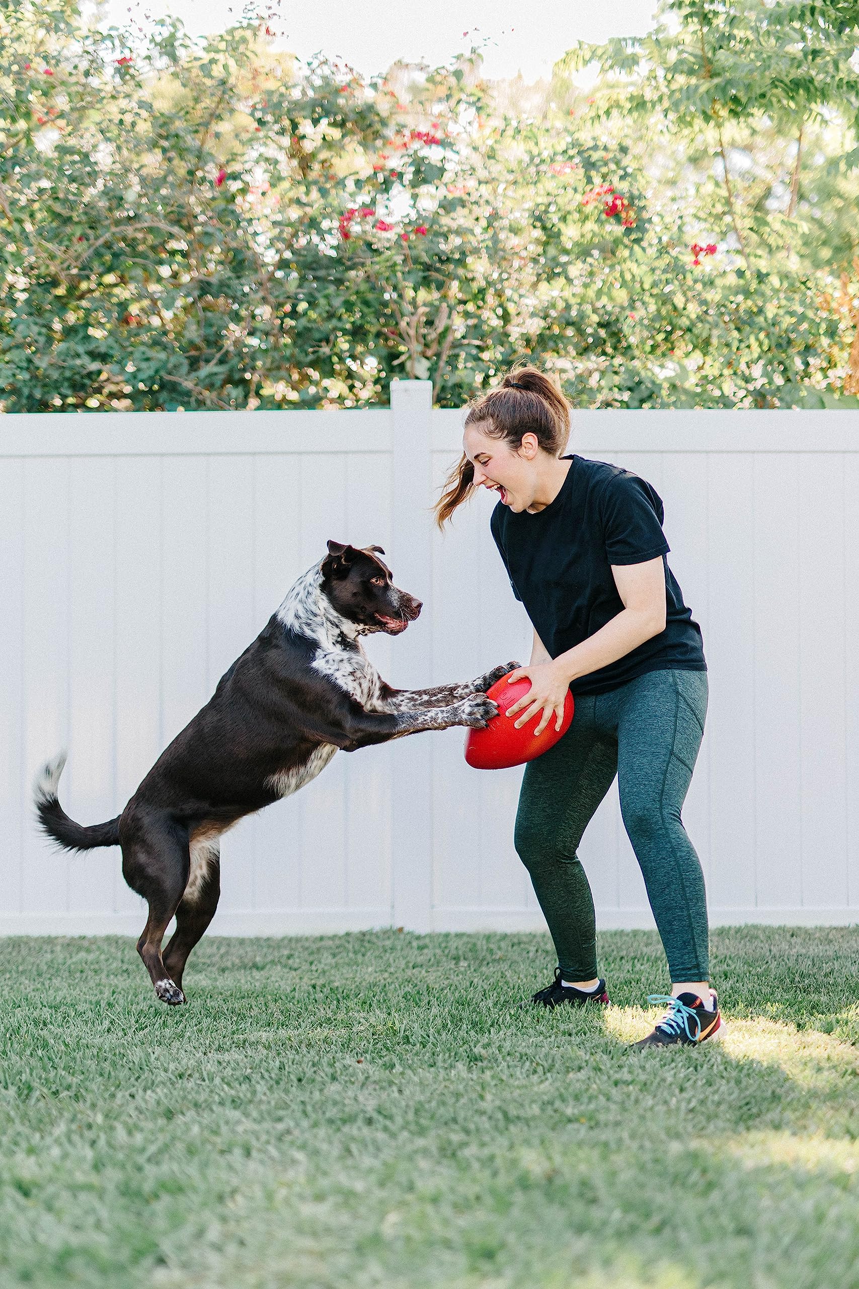 Jolly Egg es flotante, perfecto para juegos en agua junto a tu perro.