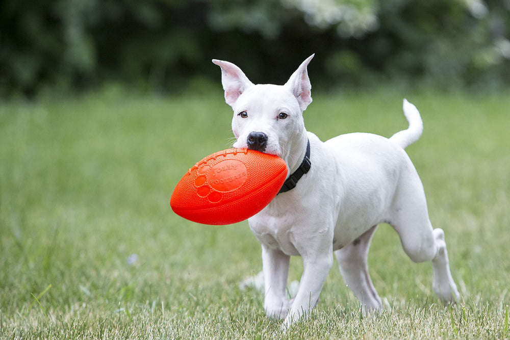 Jolly Pets pelota canina naranja que flota, perfecta para diversiones acuáticas.