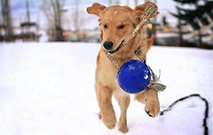 Jolly Pets Romp-n-Roll con cuerda de agarre fácil para tirar y lanzar