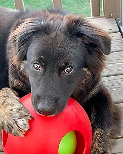 Jolly Pets Teaser Ball: rellenar con mantequilla de maní para aumentar el interés sensorial.