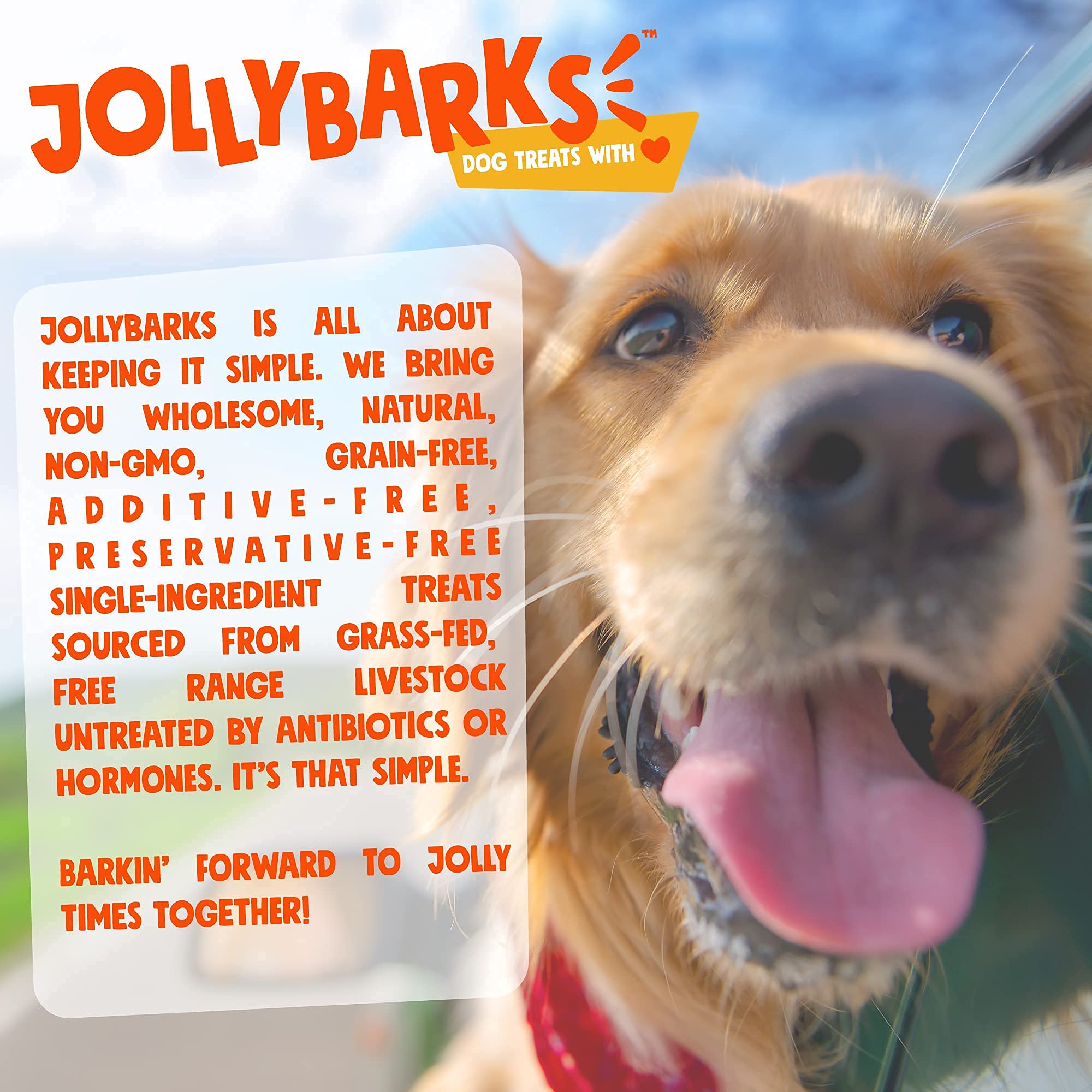 Jolly Barks Junior Palito Bully, uso interior seguro y limpieza fácil.