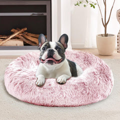 JOLLYVOGUE Cama donut 20 pulgadas para gatitos y cachorros, descanso cómodo.