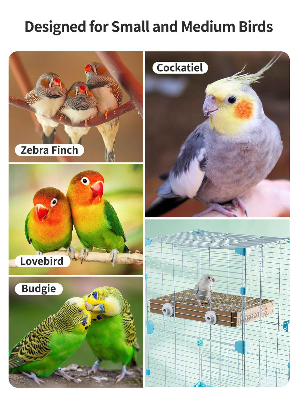 JONS NTY regalo ideal para dueños de aves, ocasión especial.