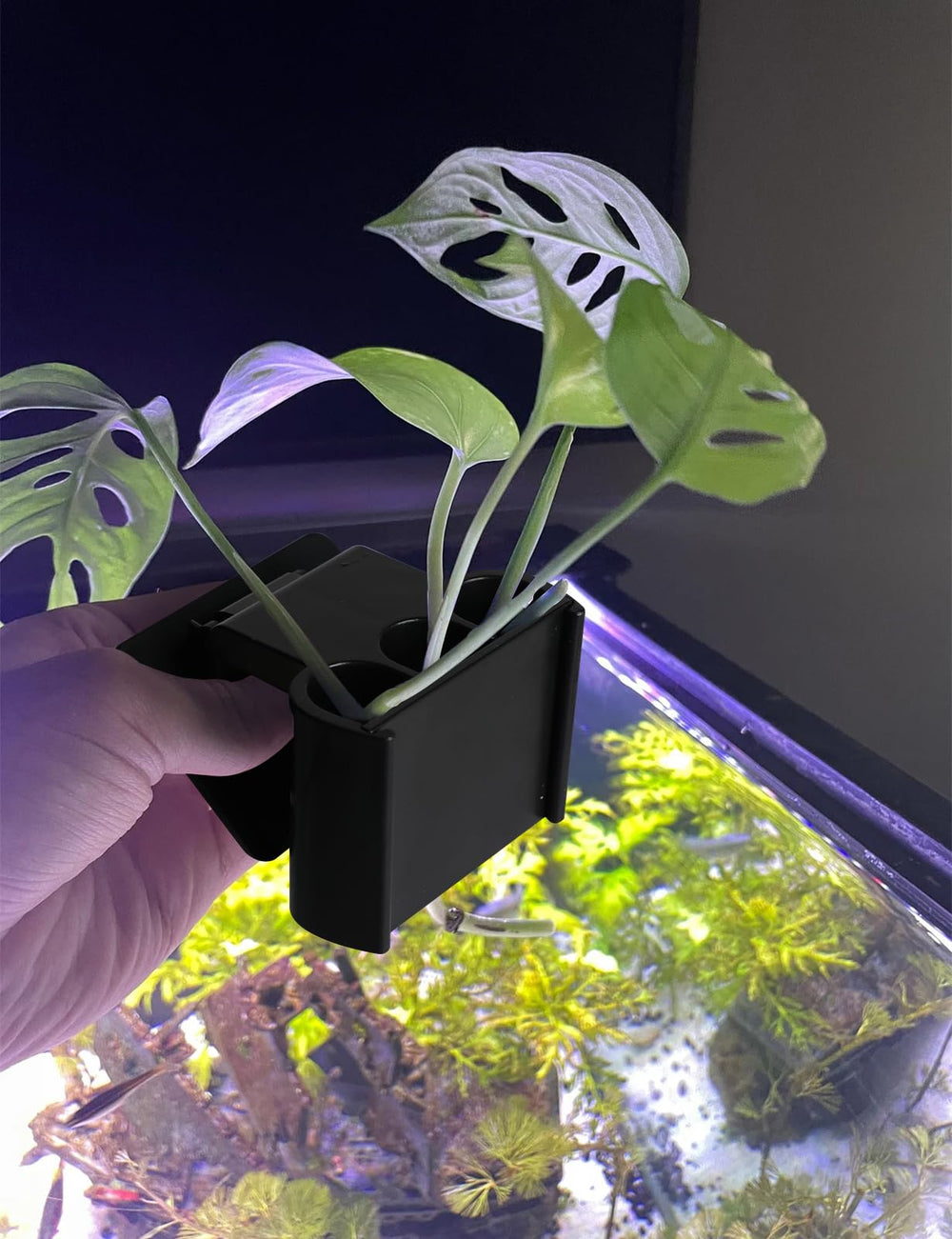 joqepy portaplanta para acuario, ideal para uso en casa, jardín o balcón