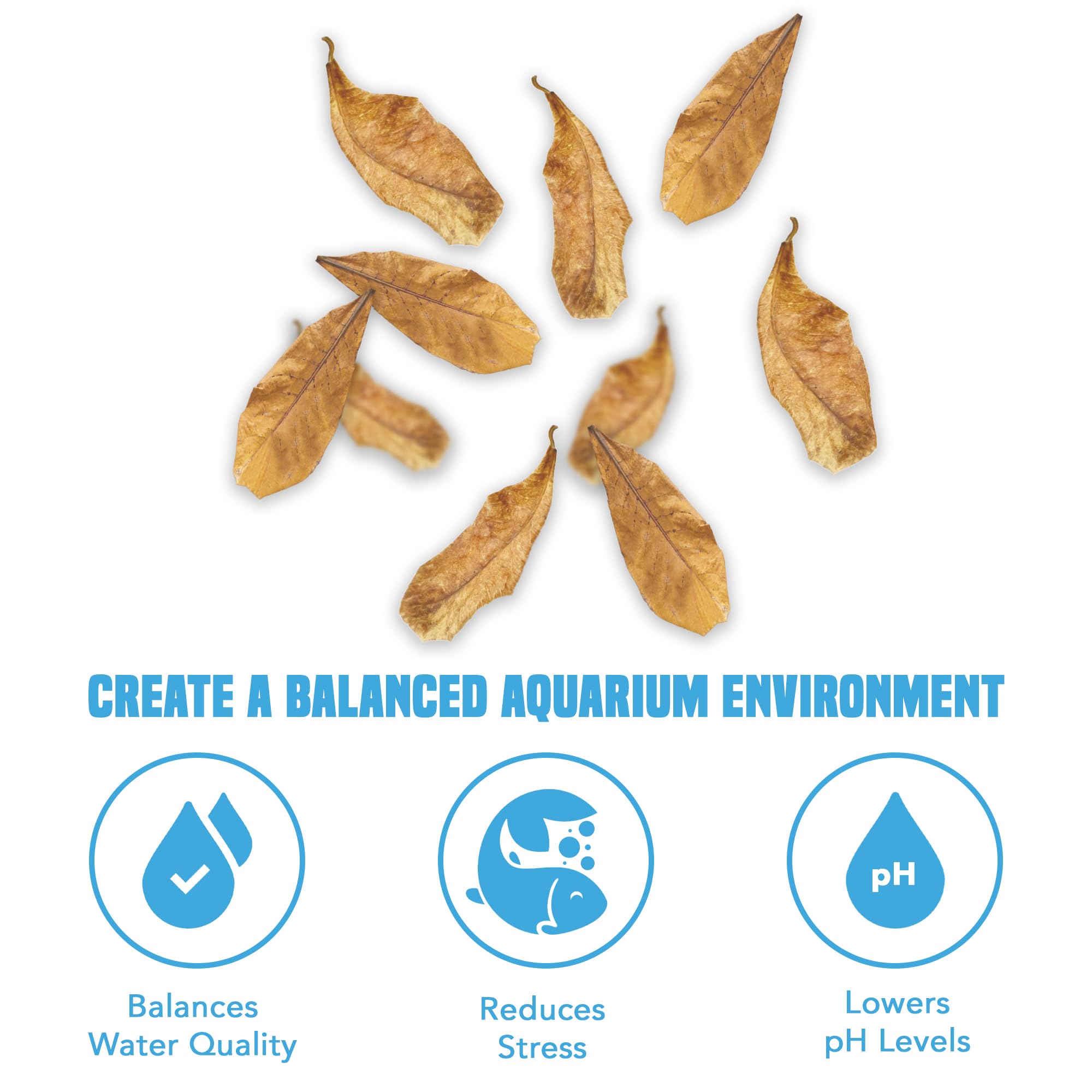 JOR Catappa: estabilizador de agua para acuarios de betta y tetras.
