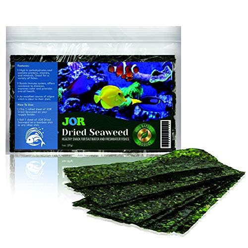 JOR hojas-alga-marina-en-tanque: ideal para tangs y otros comedores.