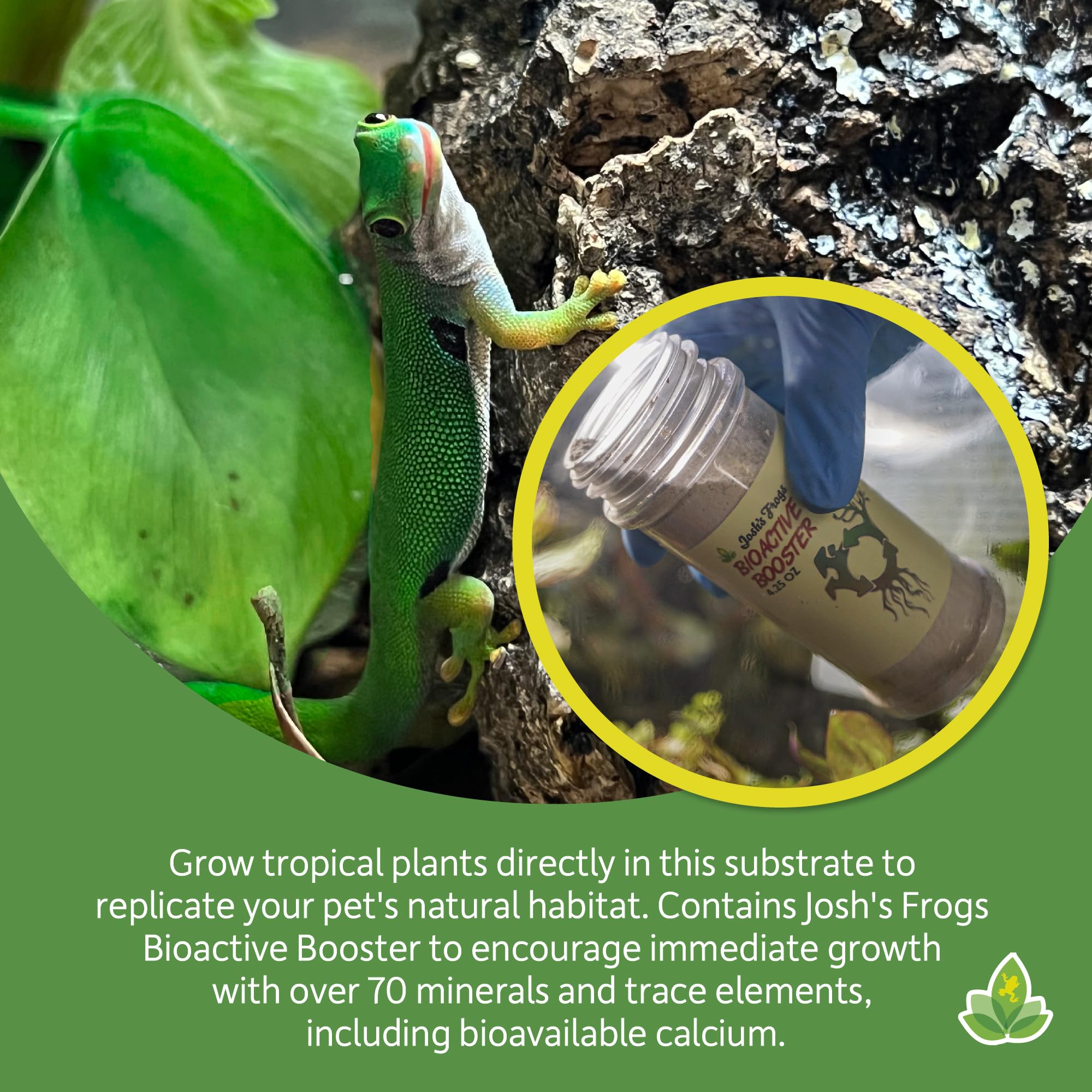 Josh's Frogs BioBedding sustrato tropical, plantas vivas creciendo de forma segura.