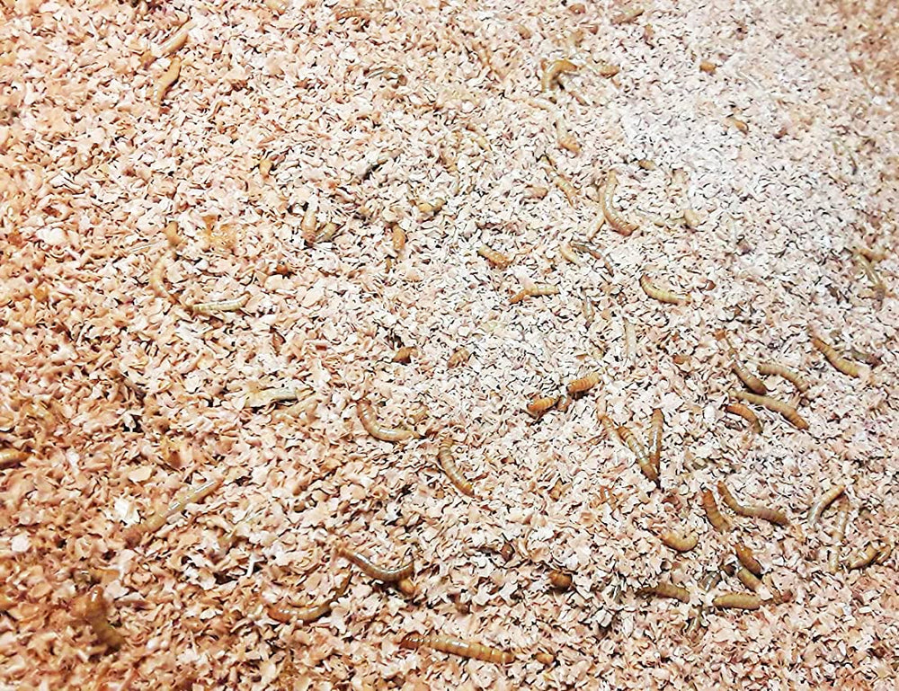 Josh's Frogs cama y alimento para insectos, práctico y versátil.