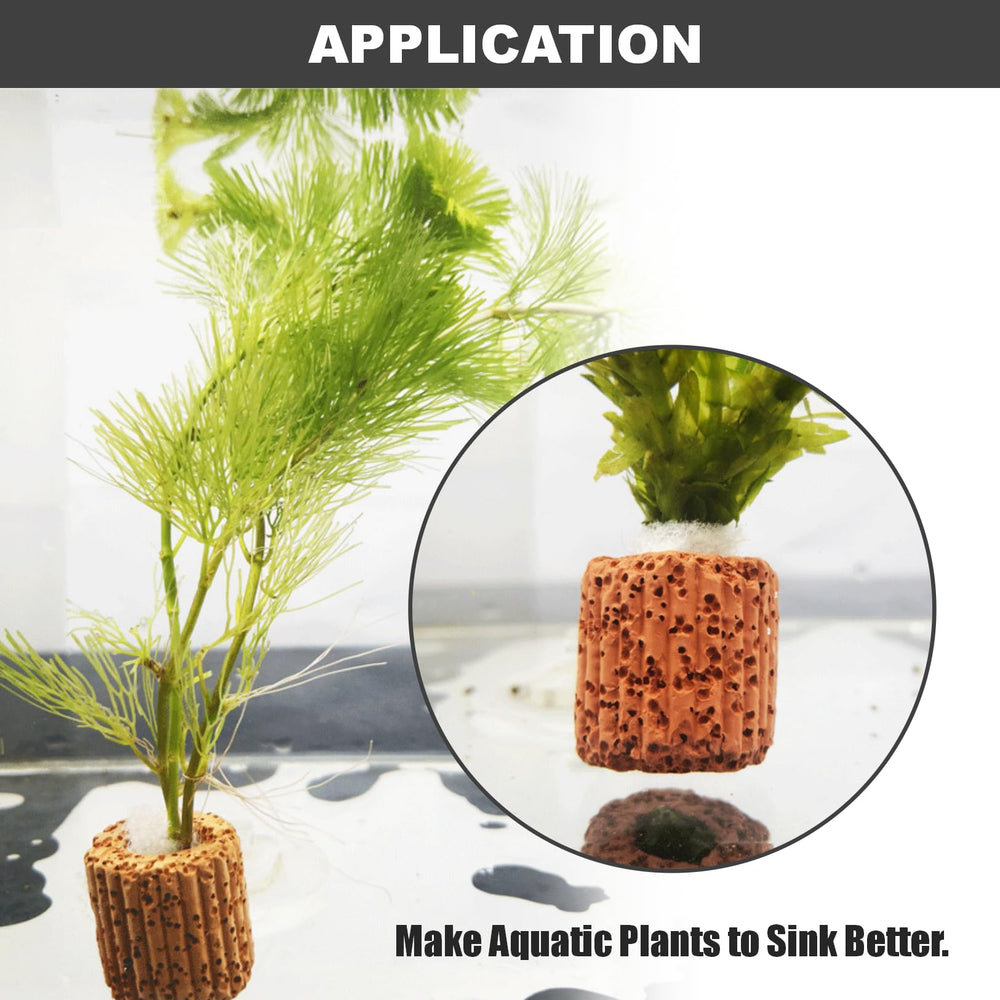 Joyangy anillo para plantas acuáticas: uso versátil en acuario y macetas cerámicas.
