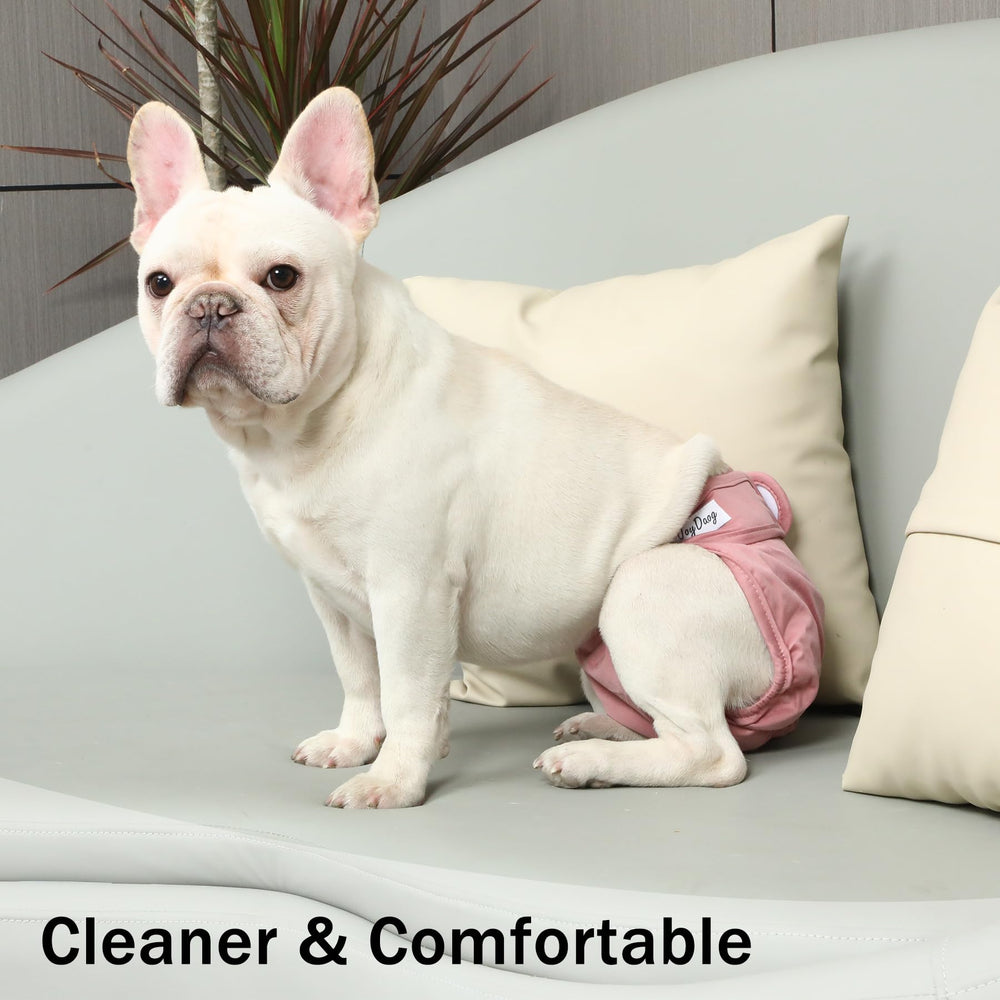 Capa externa impermeable de JoyDaog previene filtraciones en muebles