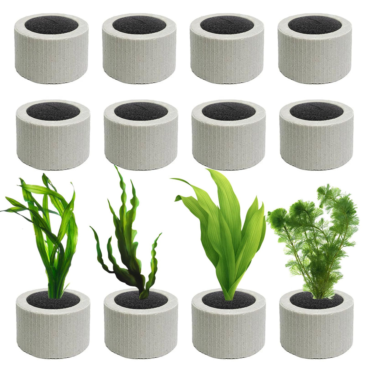 JoyHuaTrade: anillo cerámico con esponja negra para fijar plantas acuáticas.