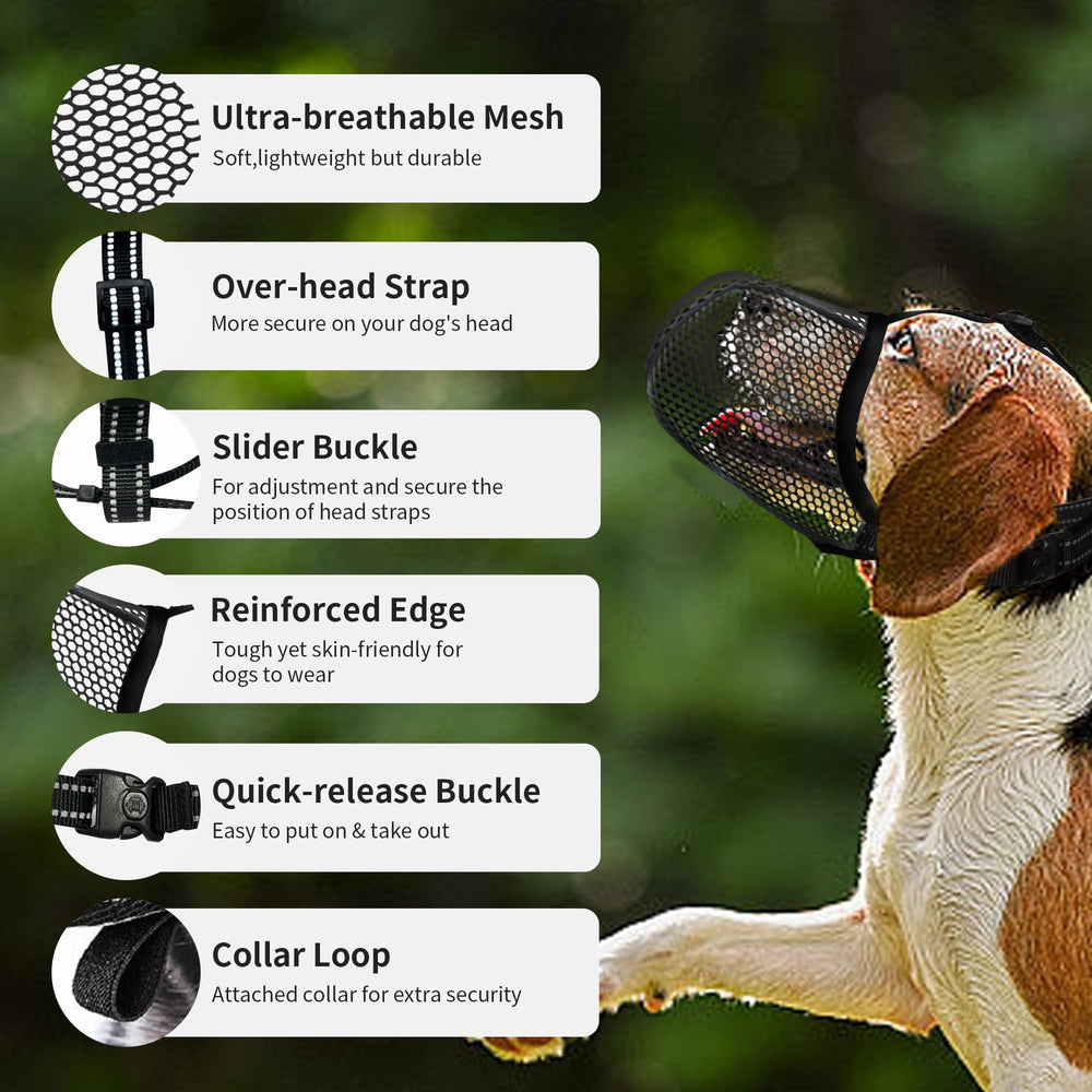 JOYPAWS bandas reflectantes para perros, aumentan visibilidad y seguridad nocturna.