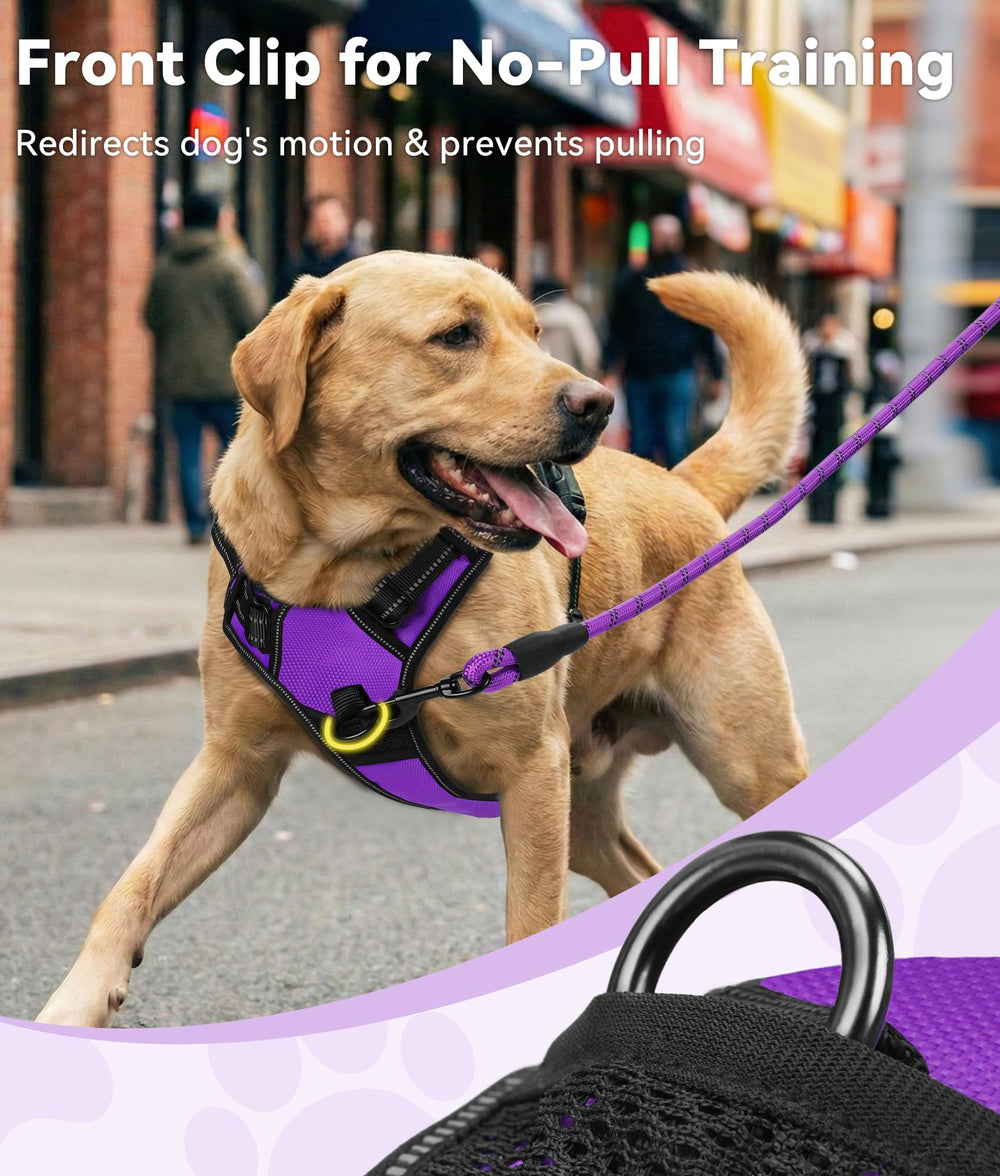 Joytale harnais chien moyen clip dos, marche décontractée et jogging confortables.
