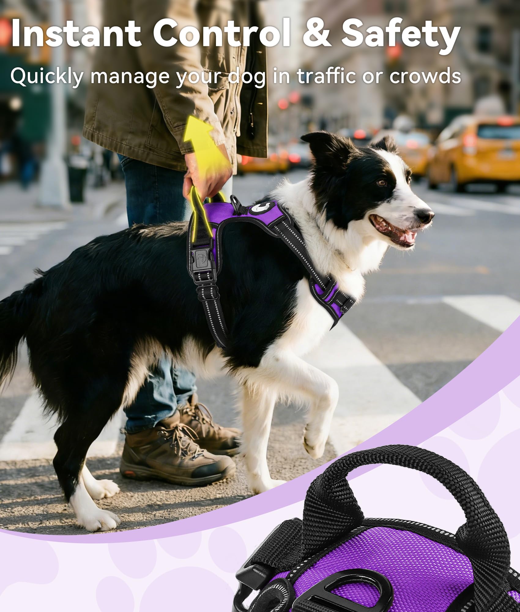 Joytale harnais réfléchissant 360°, visibilité nocturne renforcée pour la sécurité.