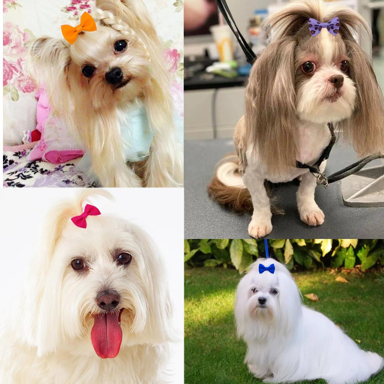 JUCCPUL accesorios para pelo de perro para paseos y estilos