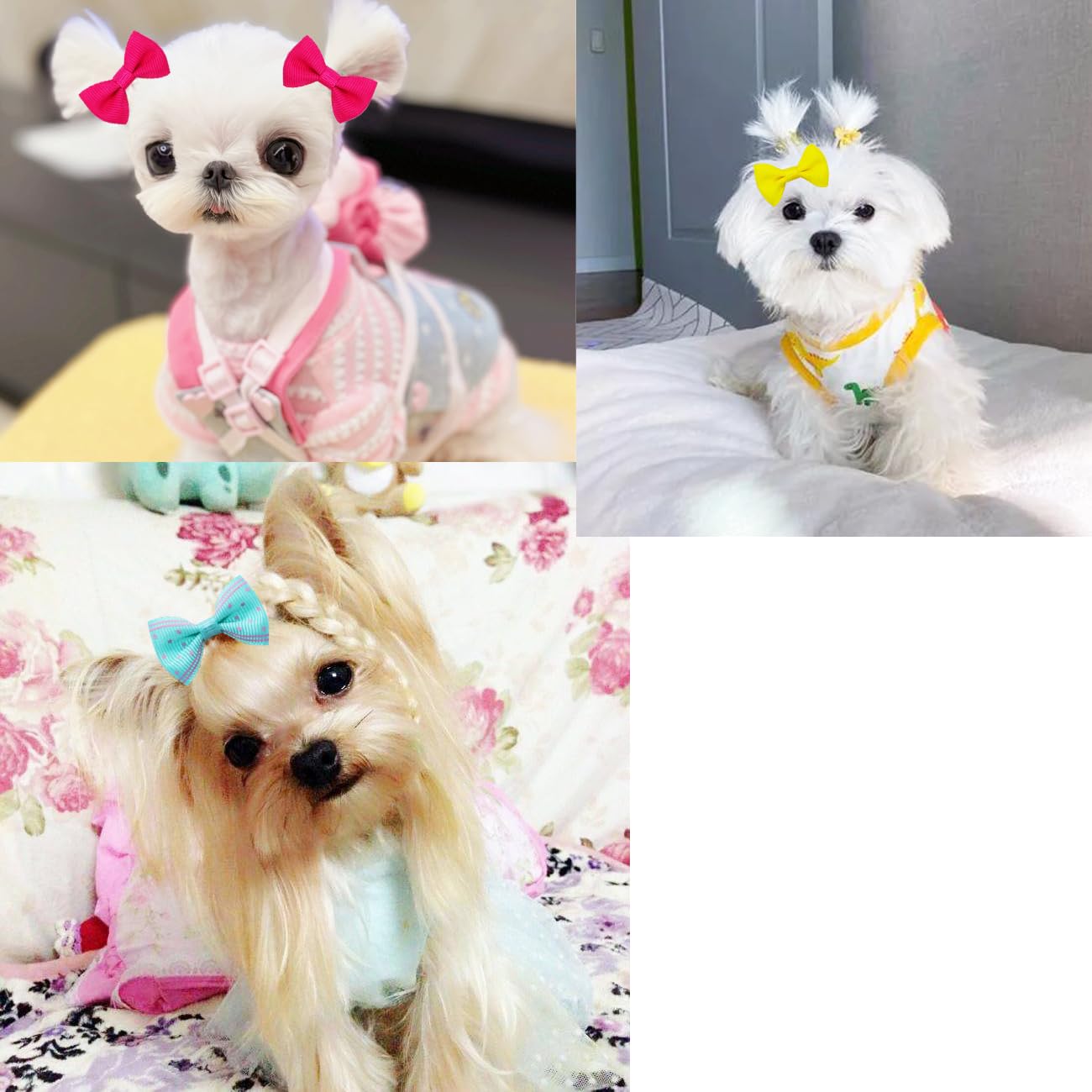 Lazo JUCCPUL 2 pulgadas en rosa claro, ideal para mascotas pequeñas.