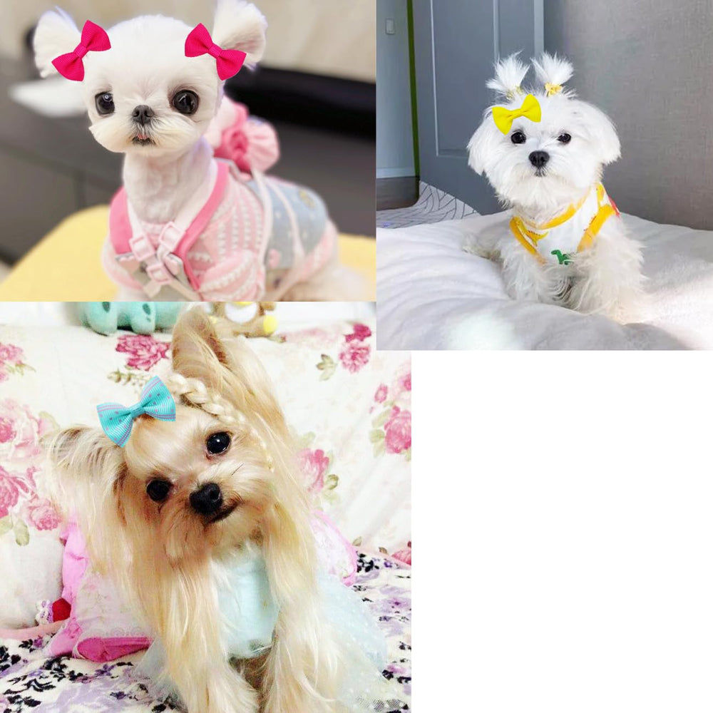 Lazo JUCCPUL 2 pulgadas en rosa claro, ideal para mascotas pequeñas.