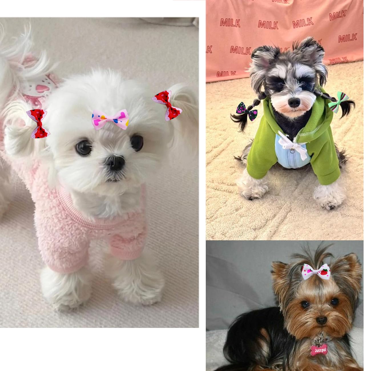 JUCCPUL Lazos con clips tipo mordaza, fijación doble para paseos y fiestas.