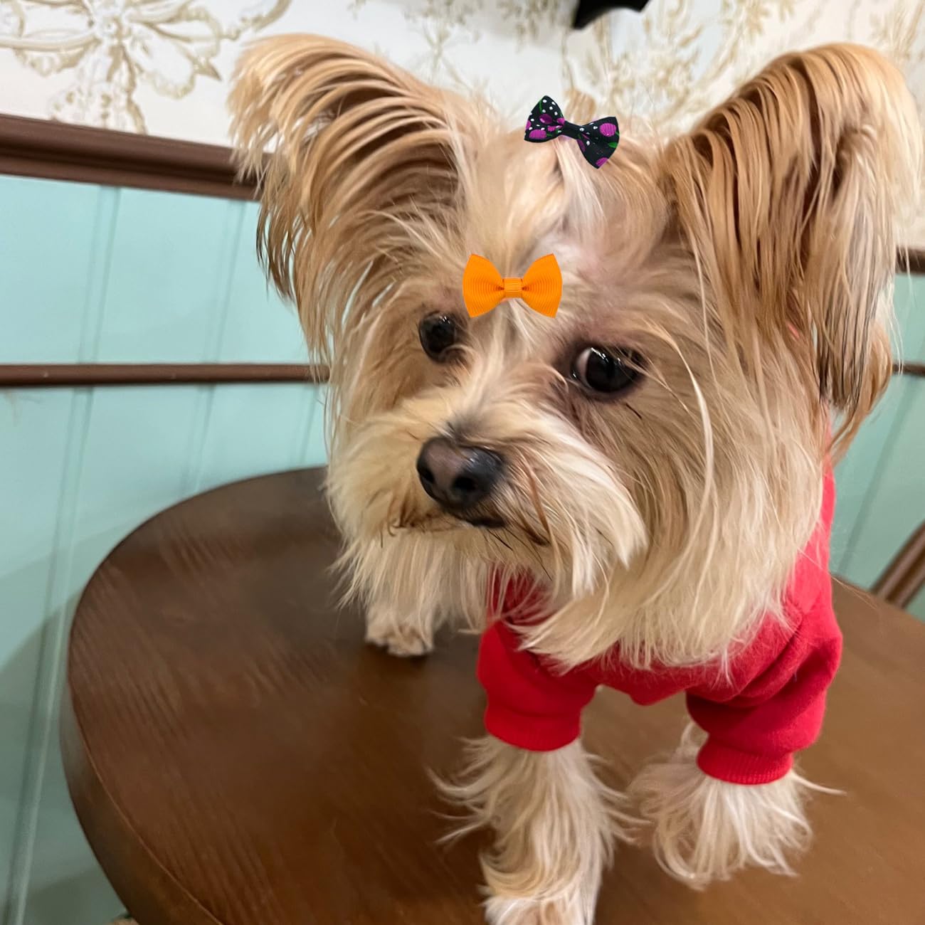 JUCCPUL Regalo ideal para mascotas, lazos para fiestas y días festivos.