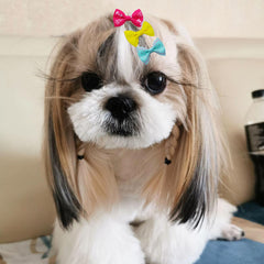 JUCCPUL moño colorido para pelo de perro, perfecto para sesiones de fotos