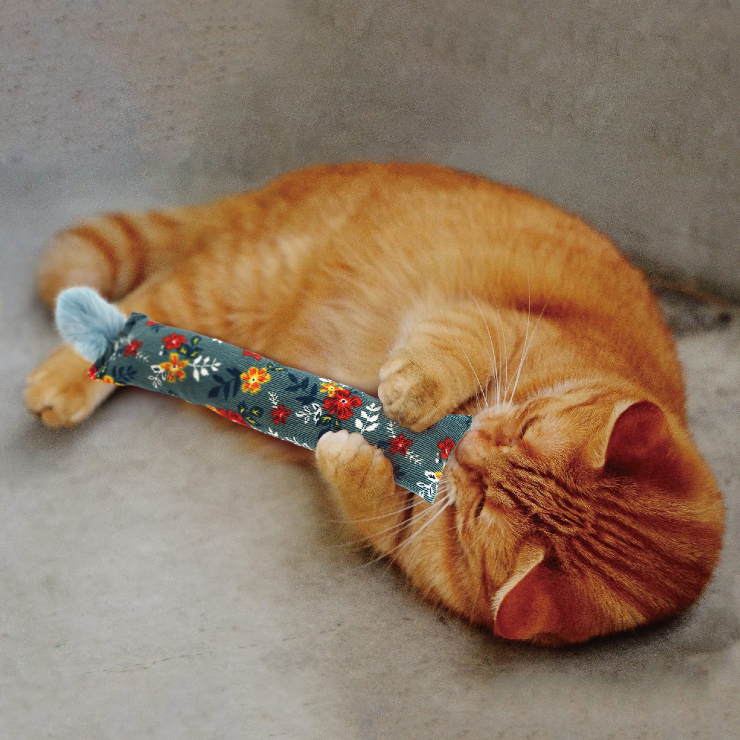 Jumpaws: empaque y accesorios listos para disfrutar con gatos.