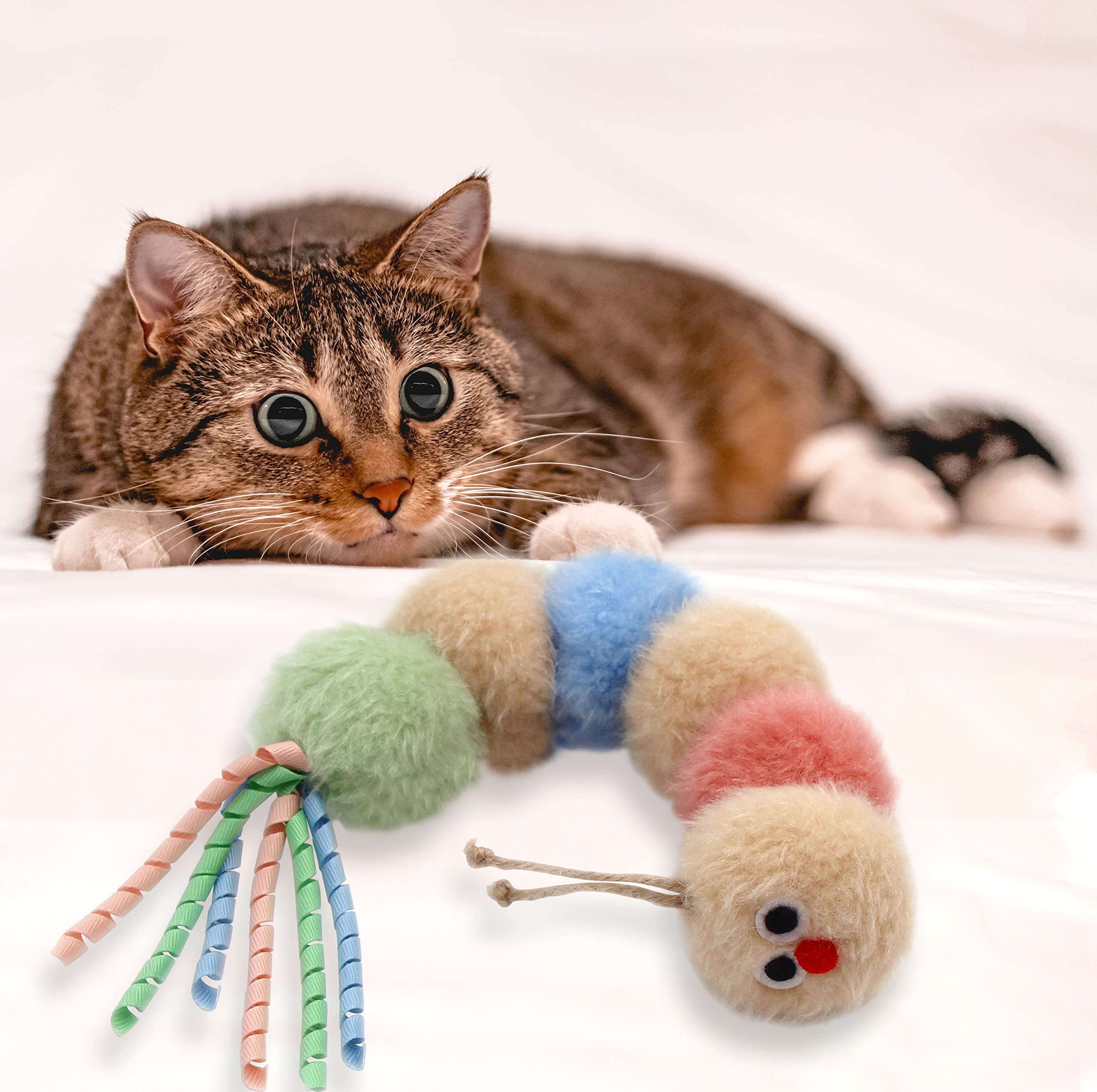 Apto para gatitos y gatos adultos que buscan entretenimiento diario