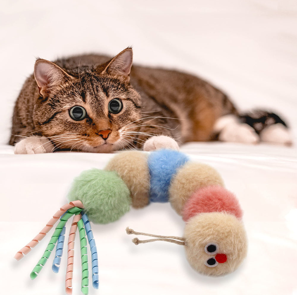 Apto para gatitos y gatos adultos que buscan entretenimiento diario