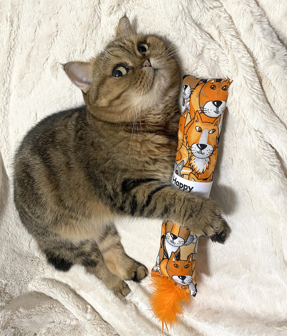 Jumpaws uso en interiores para gatos, perfecto para estimulación física.