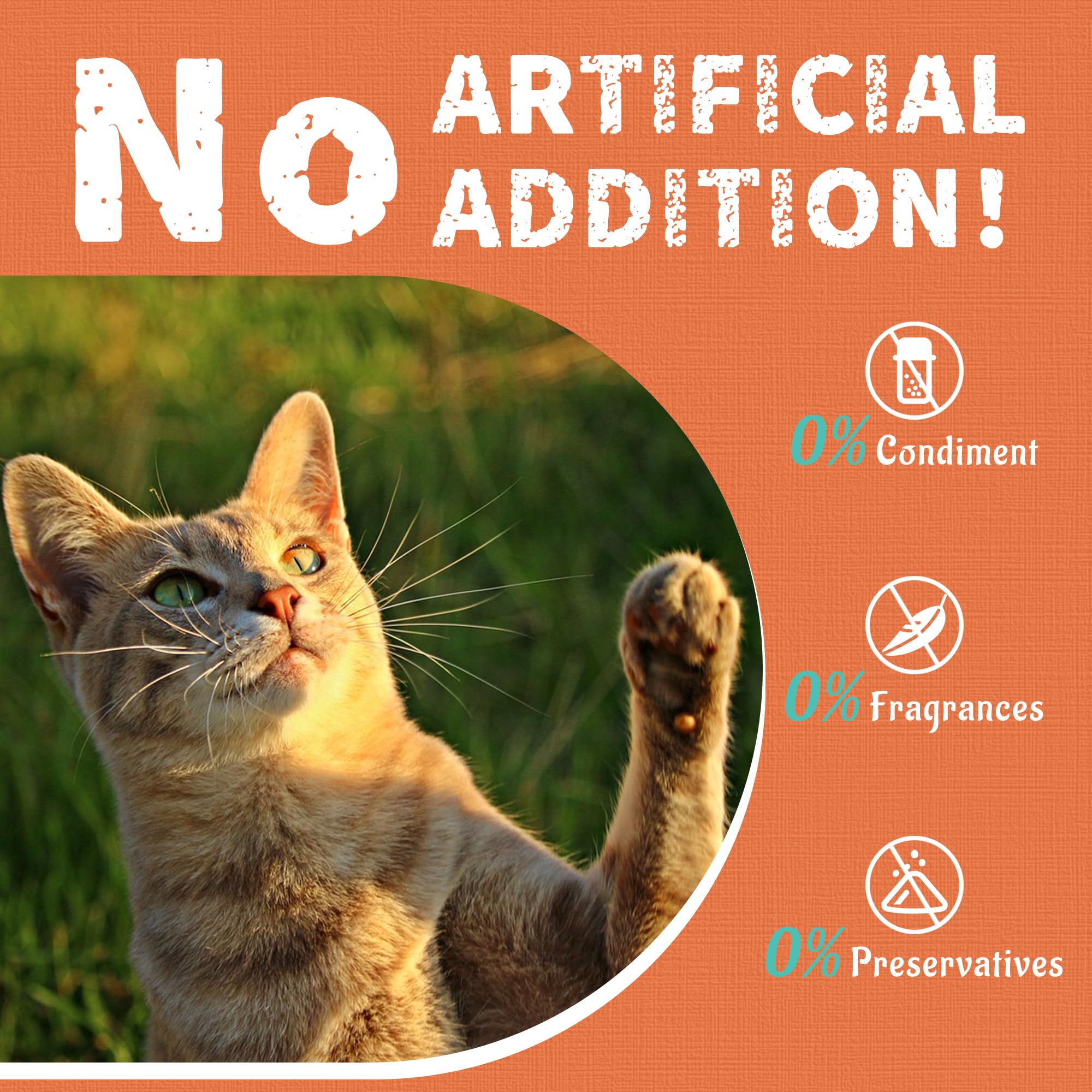 Just Try Premios Colágeno para Gatos, uso diario delicioso
