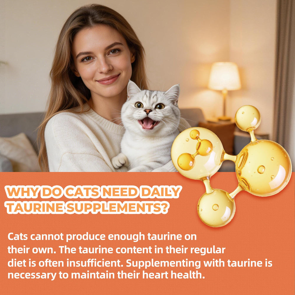 Just Try Taurine Textura Crujiente para limpieza dental durante la masticación.