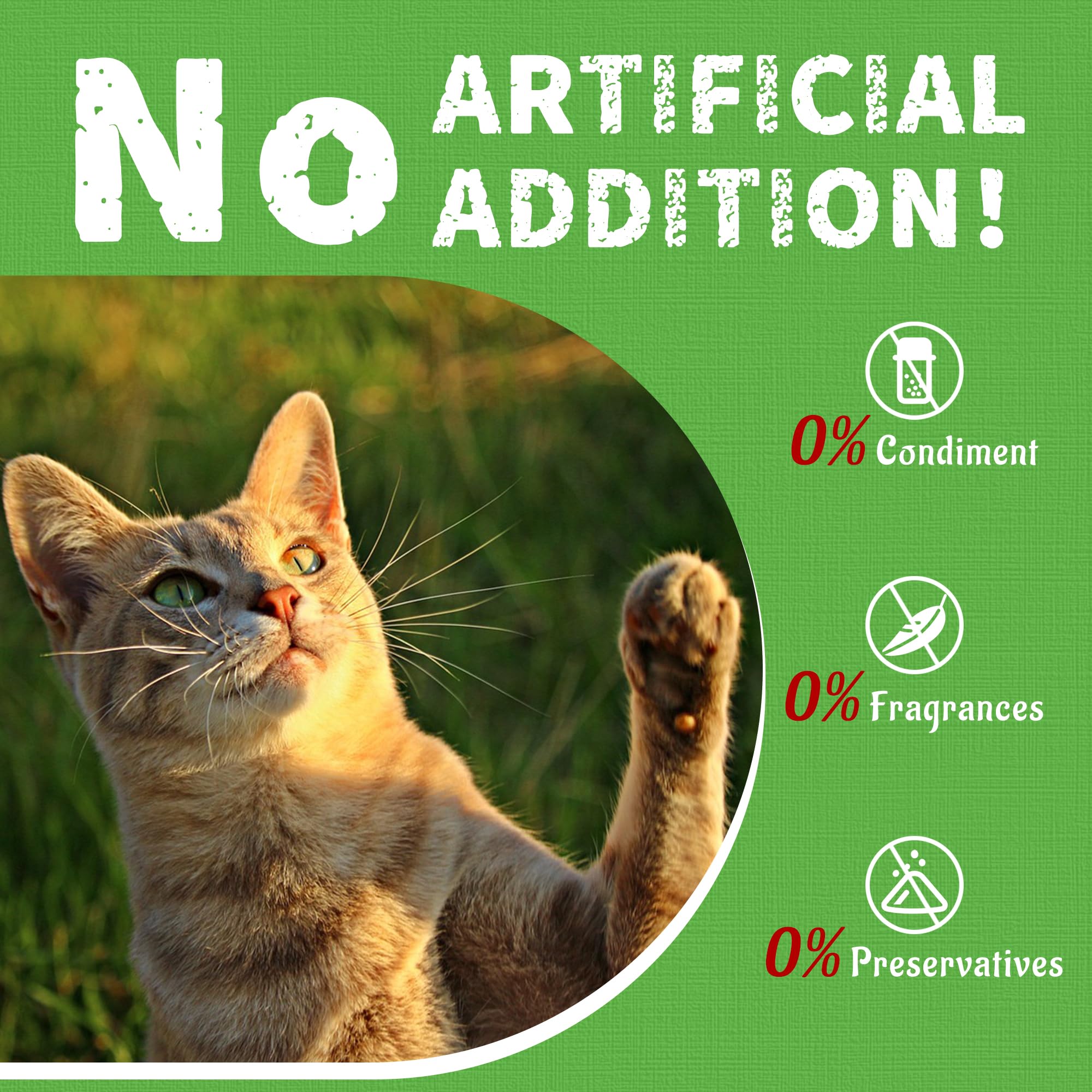 Just Try Textura dental gatos agarre crujiente para dientes sanos.