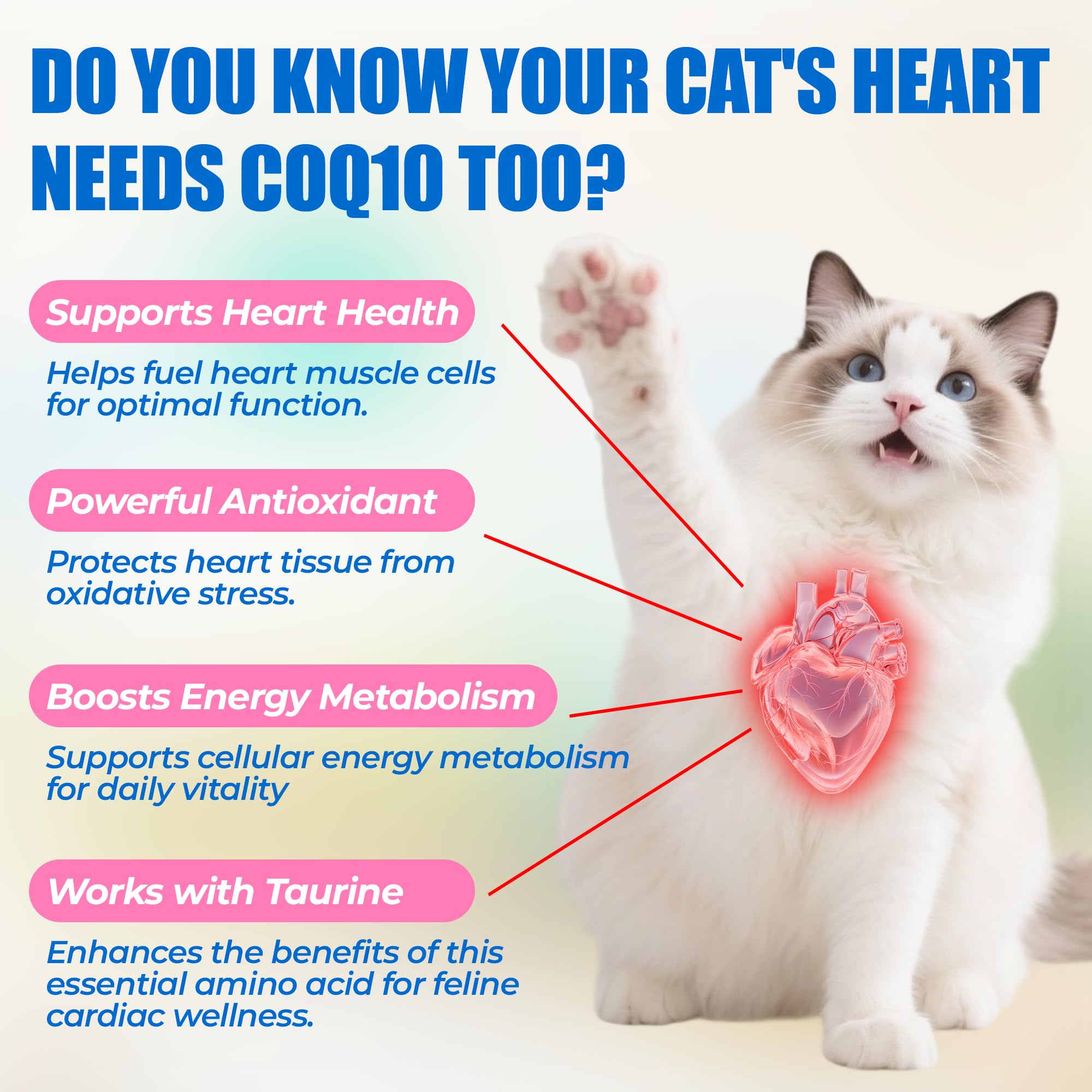Just Try ubiquinol-bioactivo-coq10-gato: mejor absorción para un soporte multicomponente.