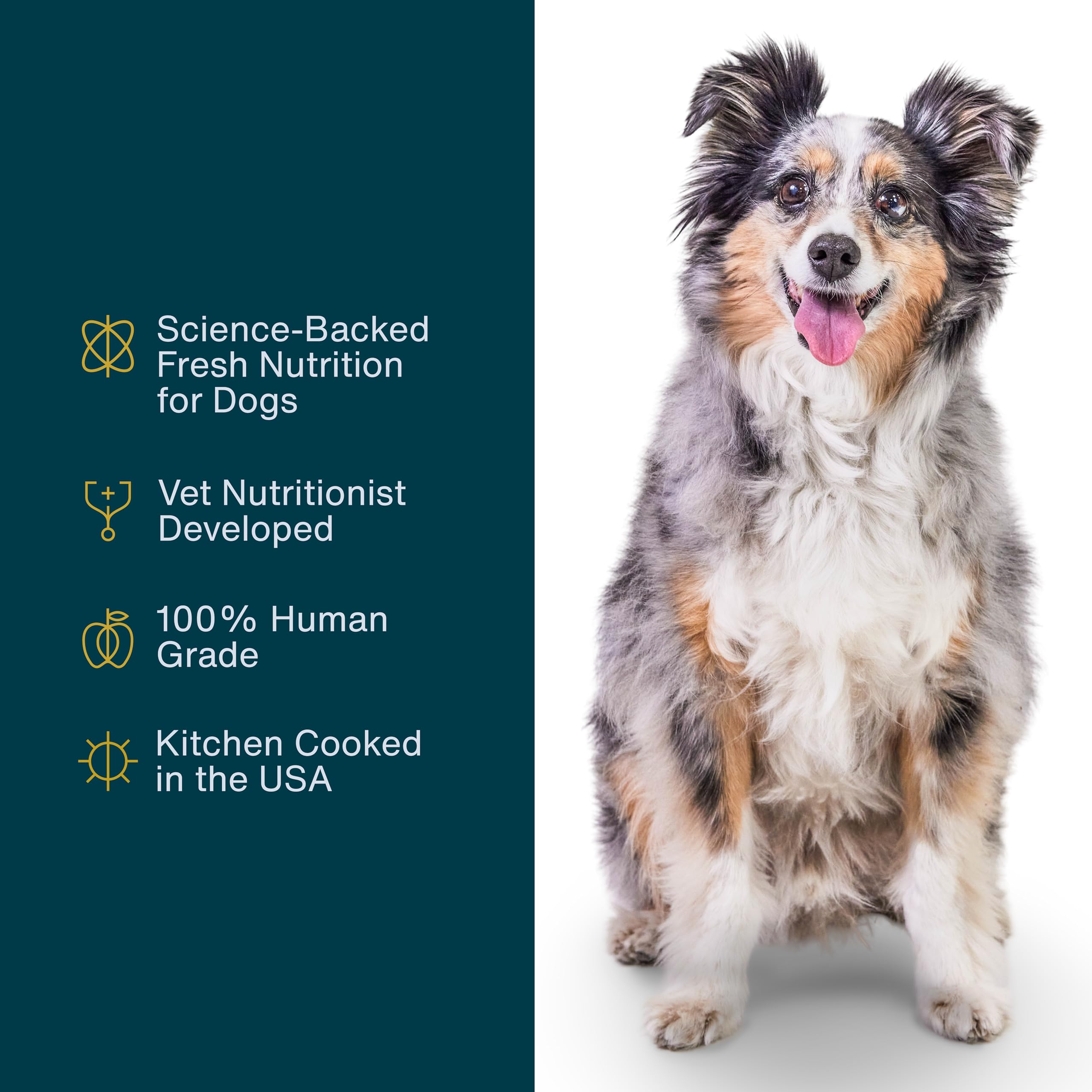 JustFoodForDogs alimento congelado de grado humano para perros