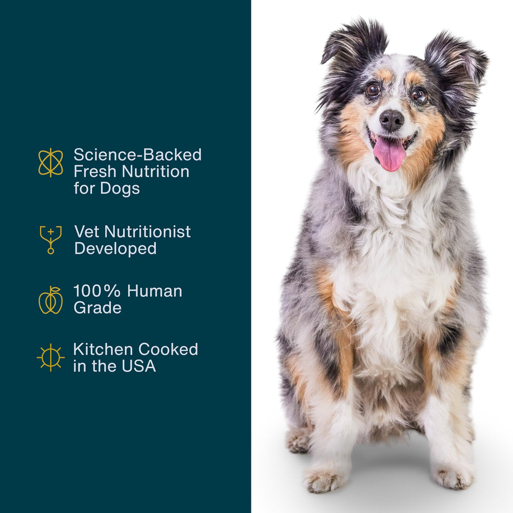 JustFoodForDogs alimento congelado de grado humano para perros