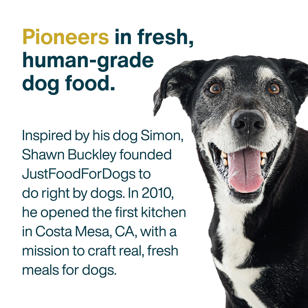 JustFoodForDogs beneficios para digestión, piel y energía durante las comidas