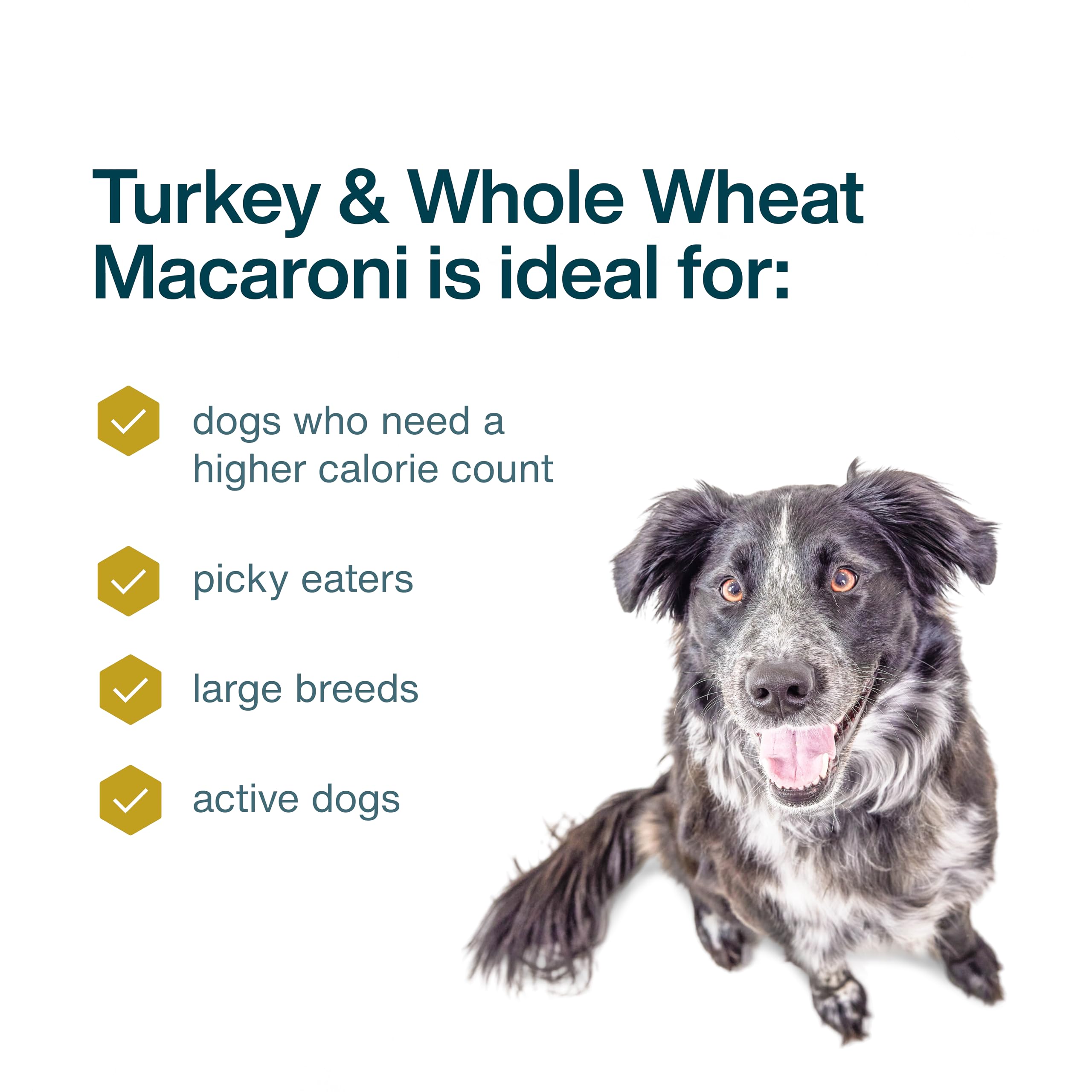 JustFoodForDogs comida congelada lista para servir en casa