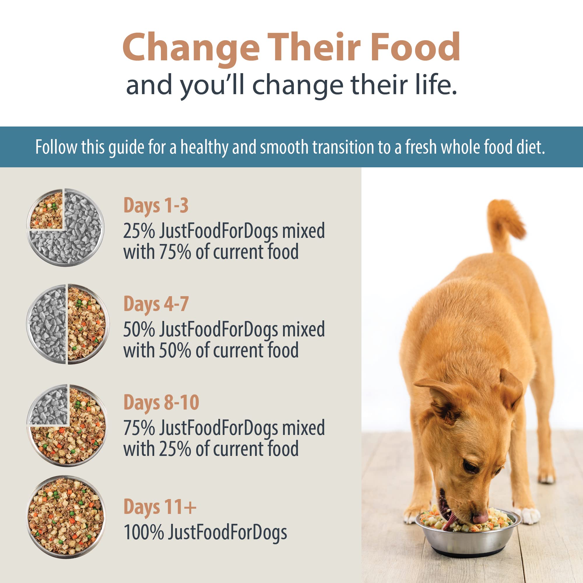 JustFoodForDogs complemento-recetas-res-y-pollo facilita rotar sabores y nutrientes.
