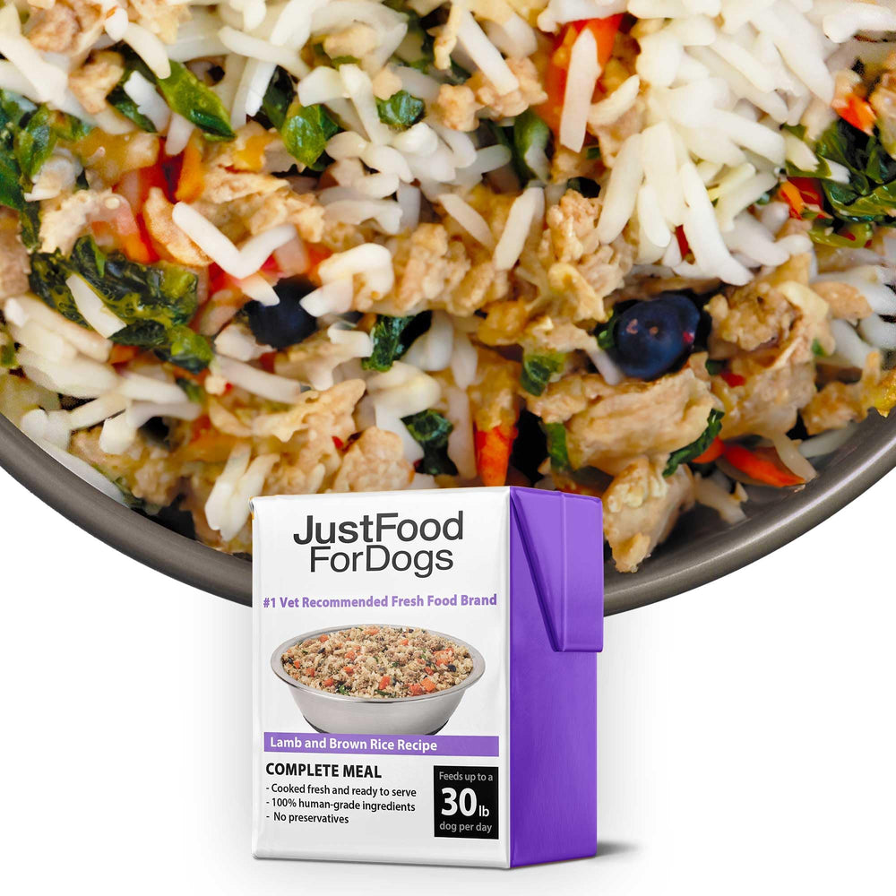JustFoodForDogs envase Tetra Pak: comida húmeda de cordero y arroz integral para viaje práctico.