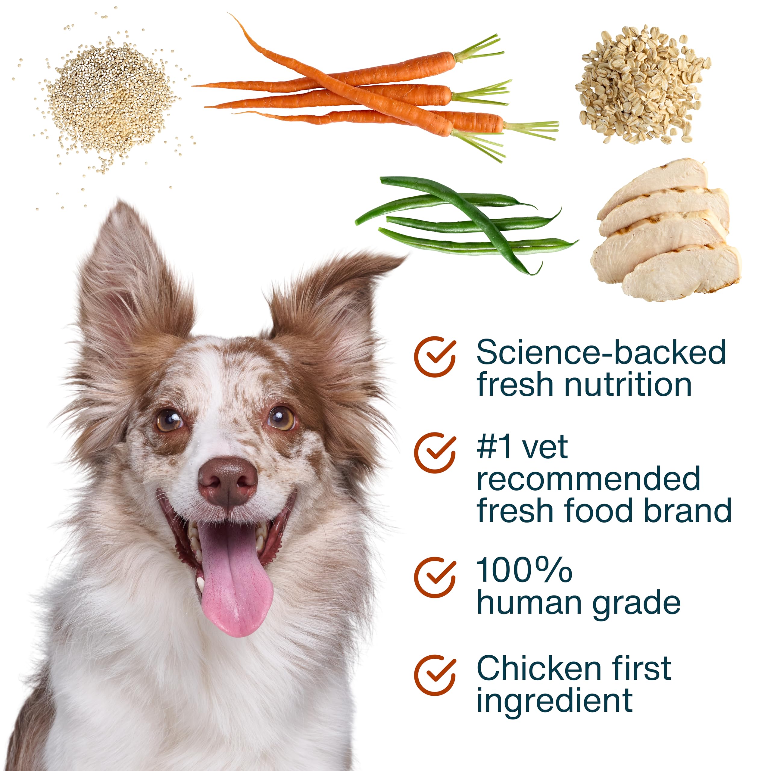 JustFoodForDogs empaque sellable para almacenamiento práctico