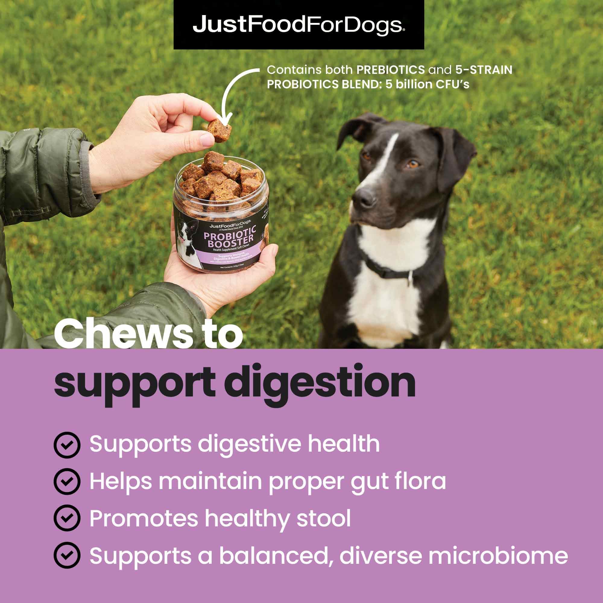 JustFoodForDogs ingredientes grado humano aptos para sensibilidad proteica