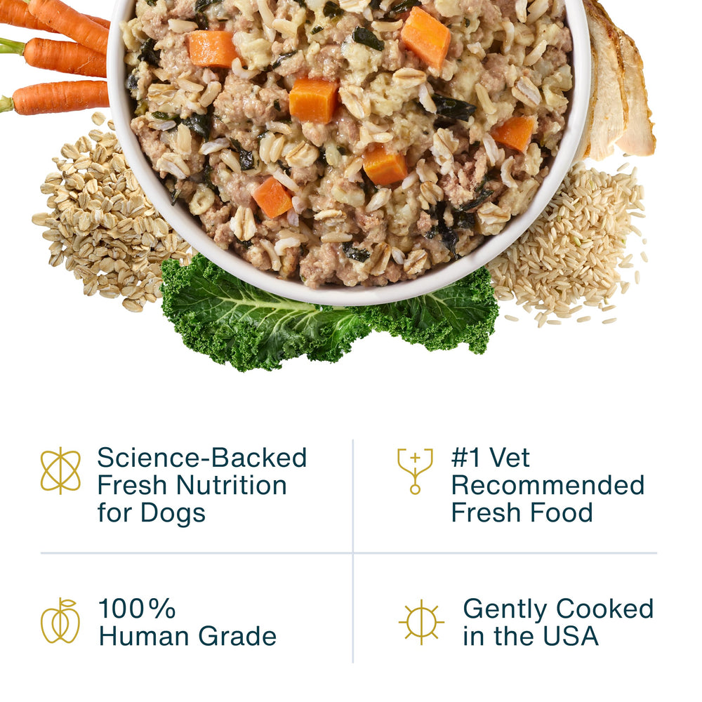 JustFoodForDogs JustFresh envase reutilizable para conservar frescura