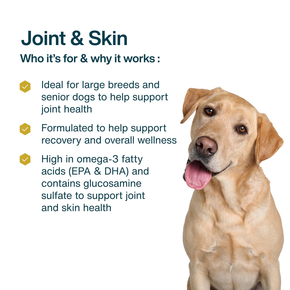 JustFoodForDogs marca líder respaldada por veterinarios en comida fresca