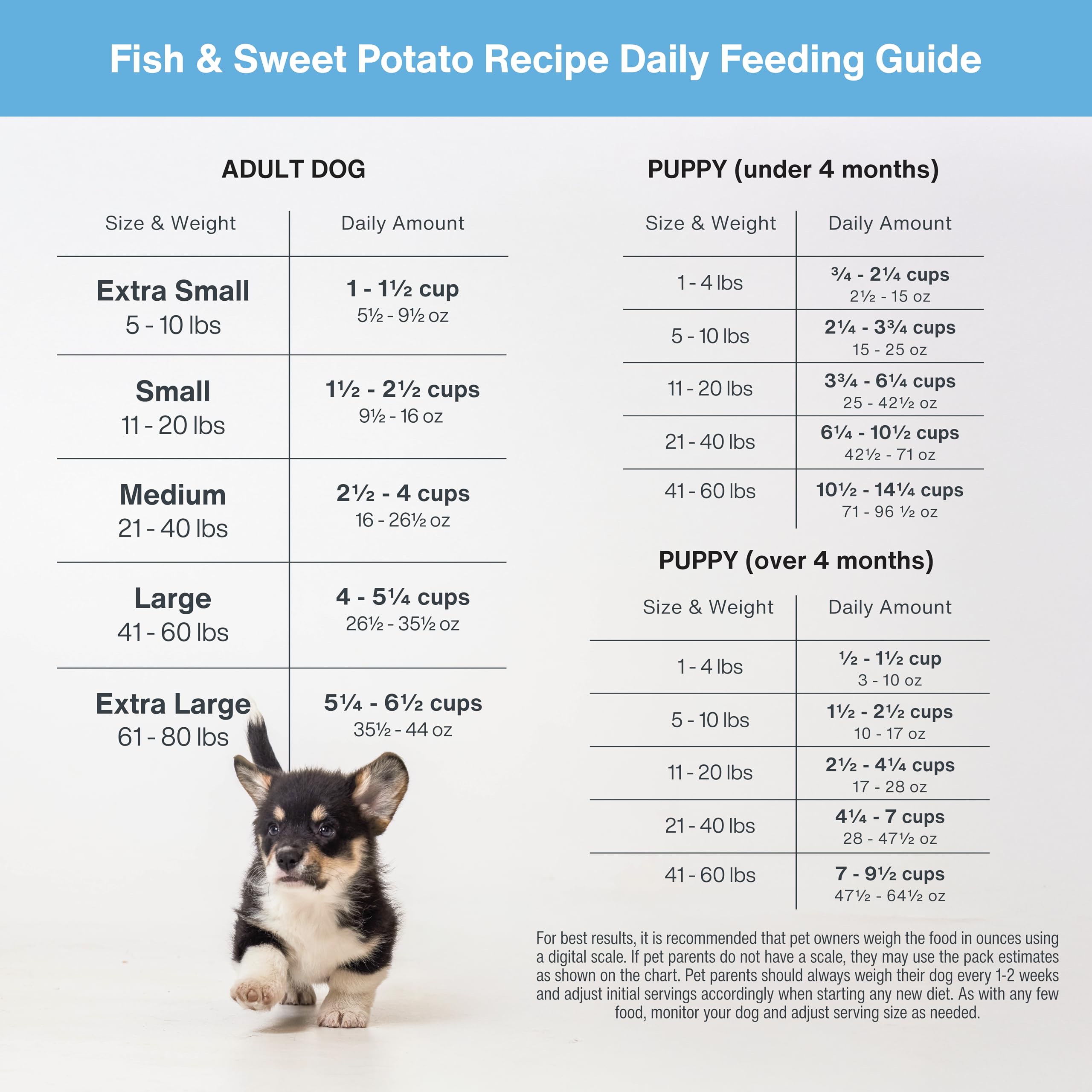 JustFoodForDogs Mezcla Nutriente: guía de cocina para preparar comidas balanceadas