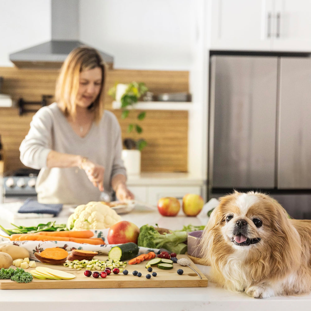 JustFoodForDogs Mezcla Nutriente: opción útil para la alimentación fresca del perro