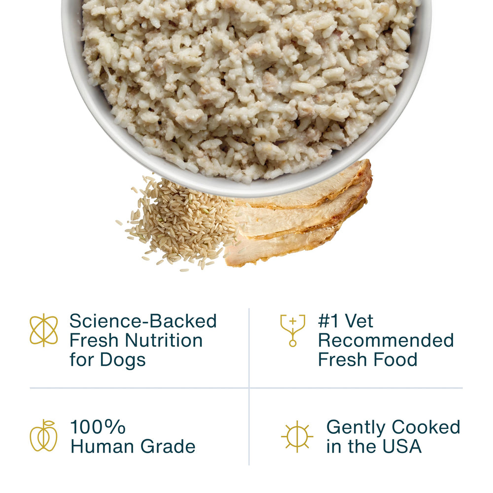 JustFoodForDogs Pantry Fresco, envase Tetra Pak conserva frescura sin conservantes