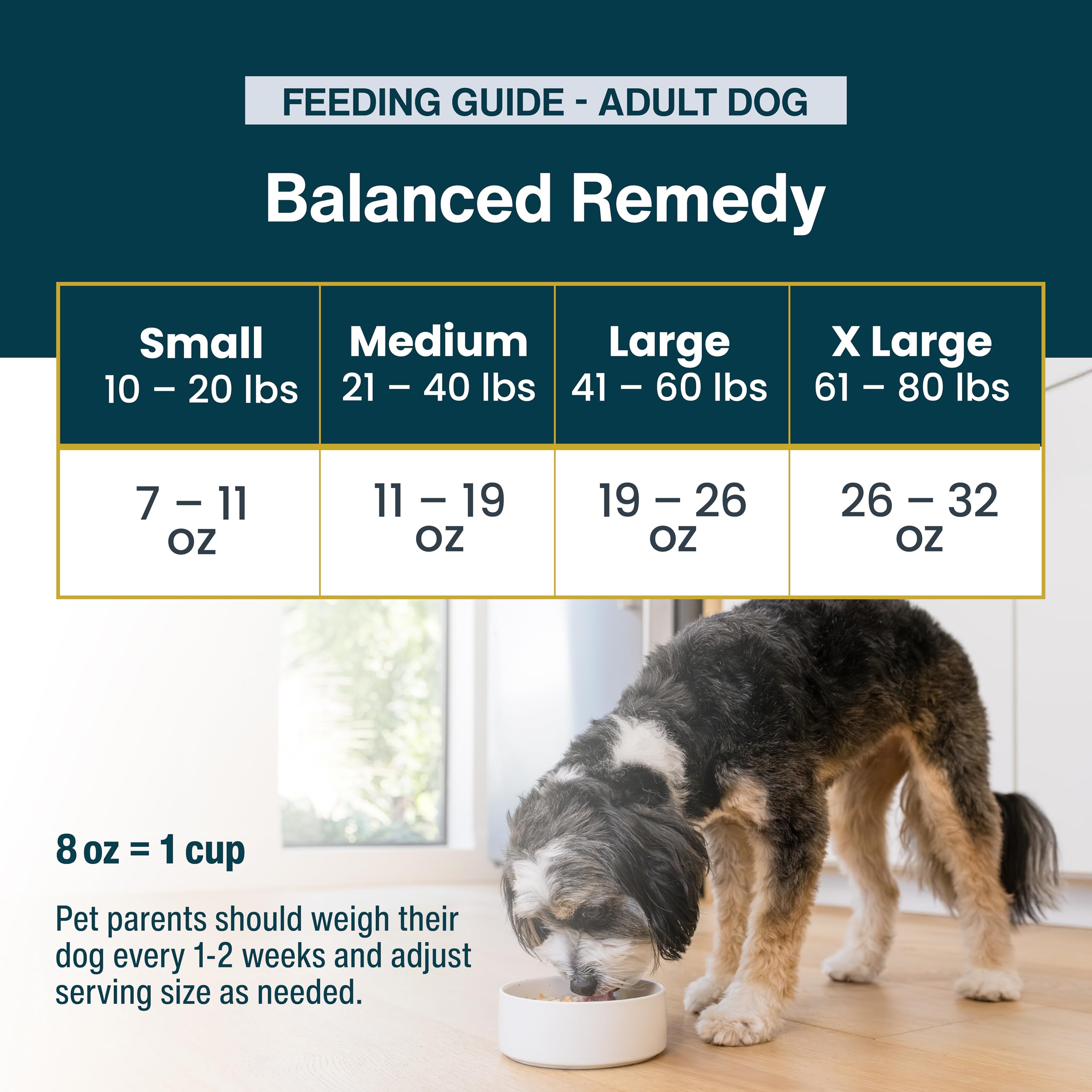 JustFoodForDogs Pantry Fresco, ideal para viajar gracias a su empaque