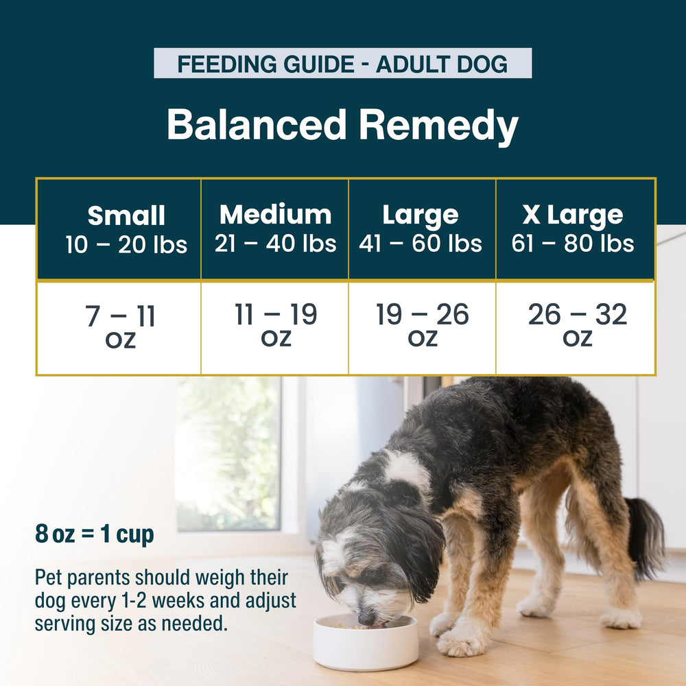 JustFoodForDogs Pantry Fresco, ideal para viajar gracias a su empaque